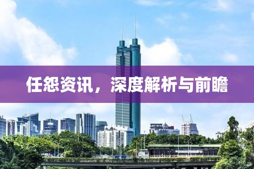 任怨资讯，深度解析与前瞻