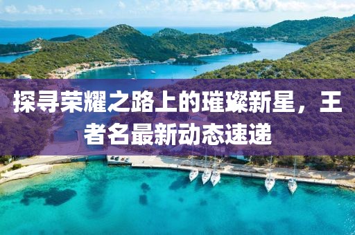 花开无言 第30页