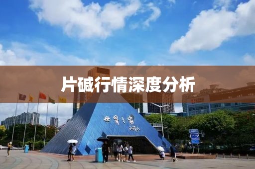片碱行情深度分析