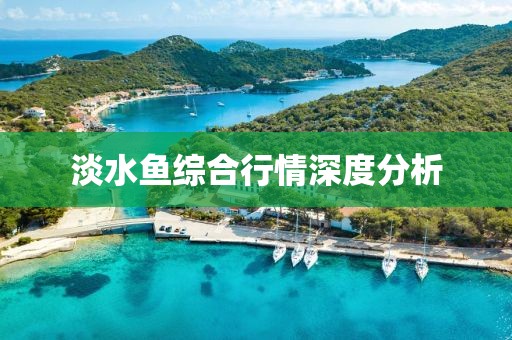 淡水鱼综合行情深度分析