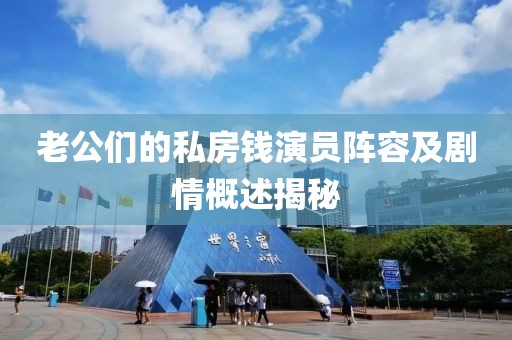 老公们的私房钱演员阵容及剧情概述揭秘