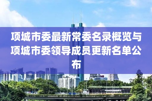 项城市委最新常委名录概览与项城市委领导成员更新名单公布