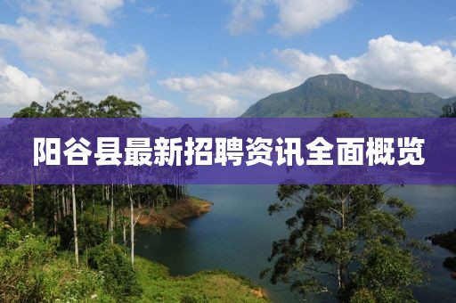 阳谷县最新招聘资讯全面概览