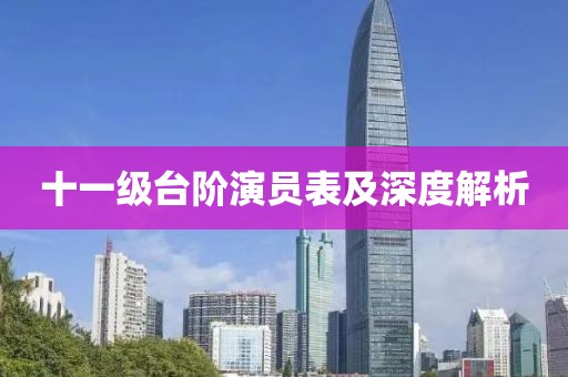 十一级台阶演员表及深度解析