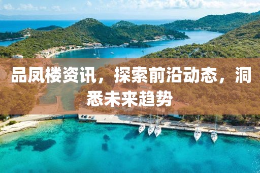 品凤楼资讯，探索前沿动态，洞悉未来趋势