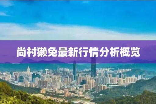 尚村獭兔最新行情分析概览