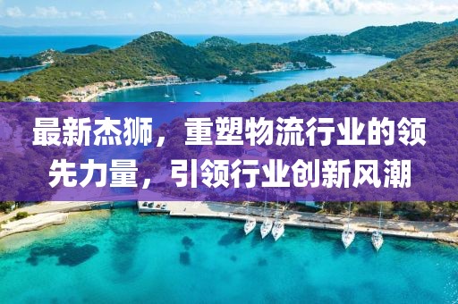最新杰狮，重塑物流行业的领先力量，引领行业创新风潮