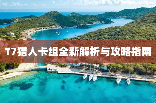 T7猎人卡组全新解析与攻略指南