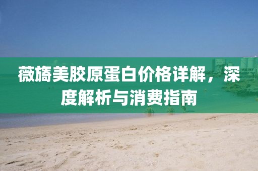 薇旖美胶原蛋白价格详解，深度解析与消费指南