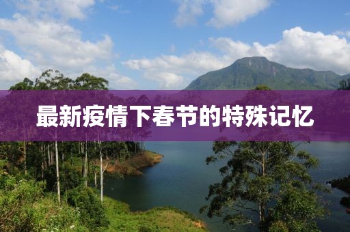 最新疫情下春节的特殊记忆