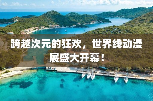 跨越次元的狂欢，世界线动漫展盛大开幕！