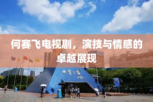 何赛飞电视剧，演技与情感的卓越展现