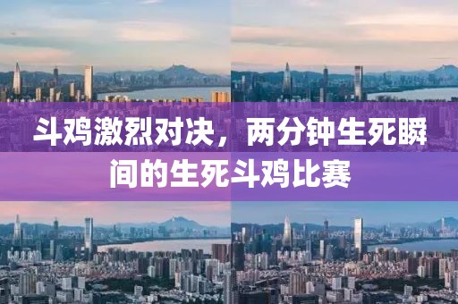 斗鸡激烈对决，两分钟生死瞬间的生死斗鸡比赛