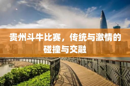 贵州斗牛比赛，传统与激情的碰撞与交融