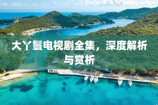 大丫鬟电视剧全集，深度解析与赏析