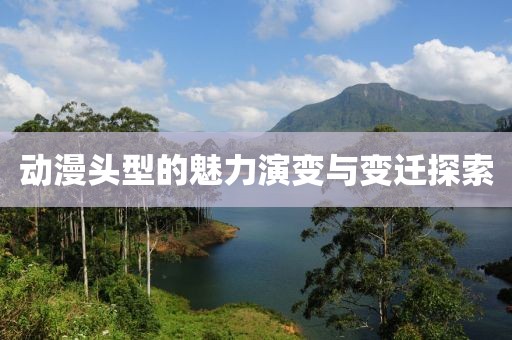 动漫头型的魅力演变与变迁探索