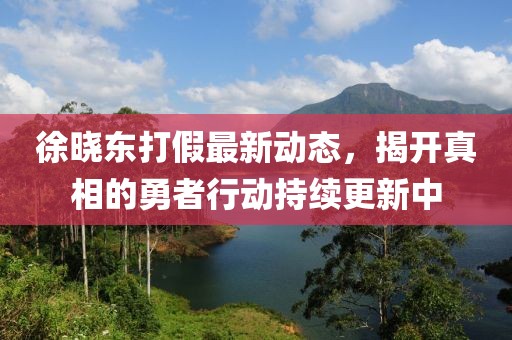 徐晓东打假最新动态，揭开真相的勇者行动持续更新中