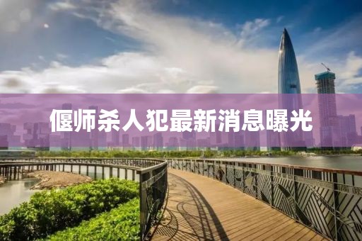 偃师杀人犯最新消息曝光