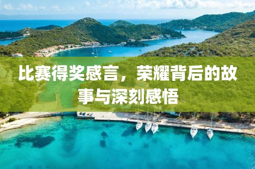 比赛得奖感言，荣耀背后的故事与深刻感悟