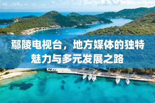 鄢陵电视台，地方媒体的独特魅力与多元发展之路