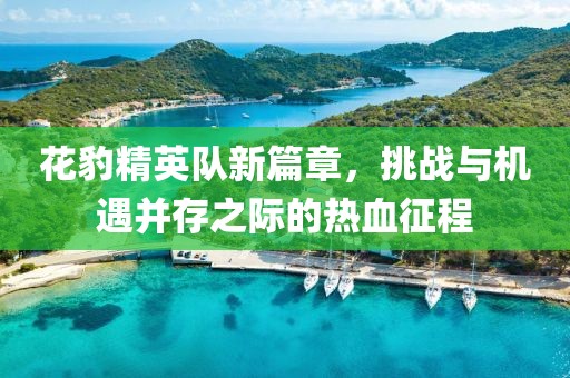 花豹精英队新篇章，挑战与机遇并存之际的热血征程