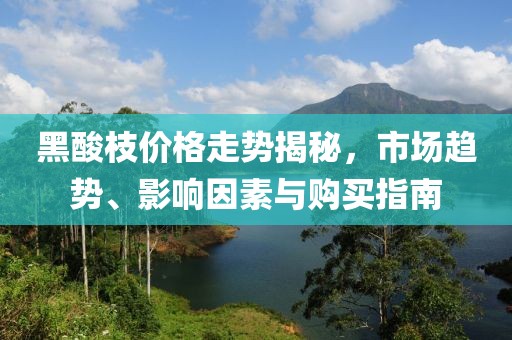 黑酸枝价格走势揭秘，市场趋势、影响因素与购买指南