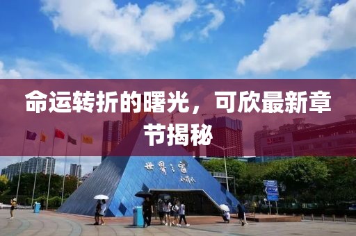 命运转折的曙光，可欣最新章节揭秘