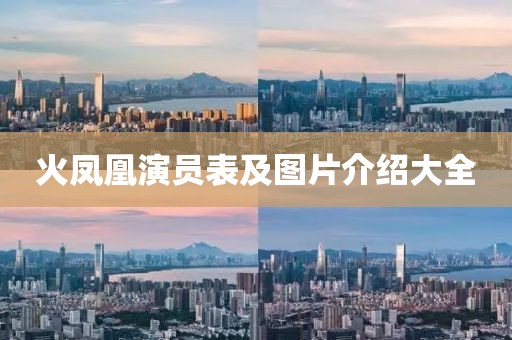 火凤凰演员表及图片介绍大全