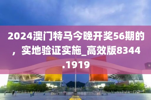 2024澳门特马今晚开奖56期的，实地验证实施_高效版8344.1919