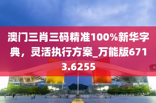 澳门三肖三码精准100%新华字典，灵活执行方案_万能版6713.6255