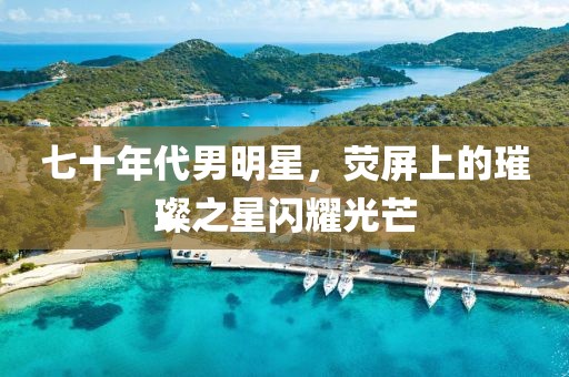 七十年代男明星，荧屏上的璀璨之星闪耀光芒