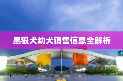 黑狼犬幼犬销售信息全解析