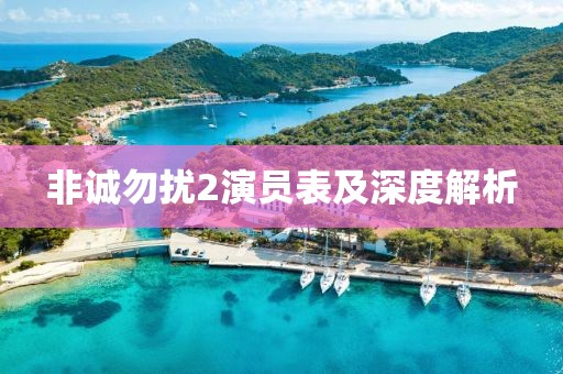 非诚勿扰2演员表及深度解析