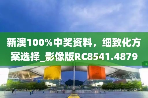 新澳100%中奖资料，细致化方案选择_影像版RC8541.4879