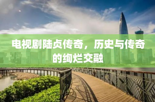 电视剧陆贞传奇，历史与传奇的绚烂交融