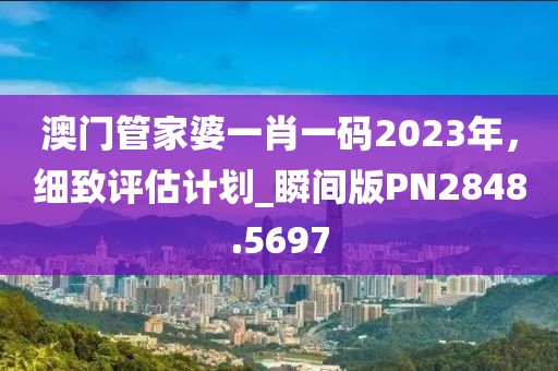 澳门管家婆一肖一码2023年，细致评估计划_瞬间版PN2848.5697