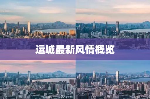 怜惜 第11页