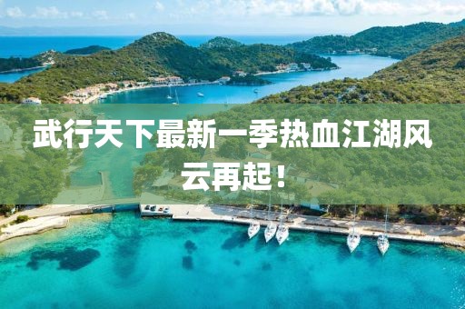 武行天下最新一季热血江湖风云再起！
