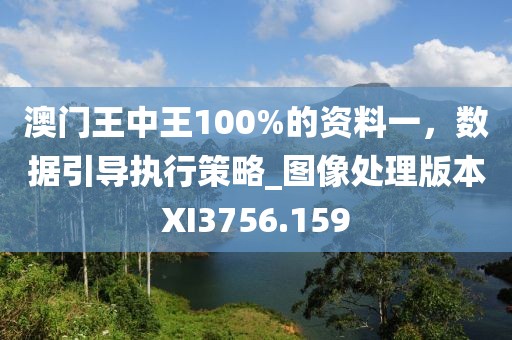 澳门王中王100%的资料一，数据引导执行策略_图像处理版本XI3756.159