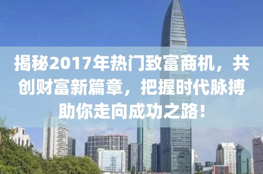 揭秘2017年热门致富商机，共创财富新篇章，把握时代脉搏助你走向成功之路！