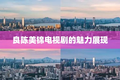 良陈美锦电视剧的魅力展现