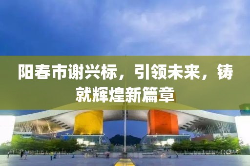 阳春市谢兴标，引领未来，铸就辉煌新篇章