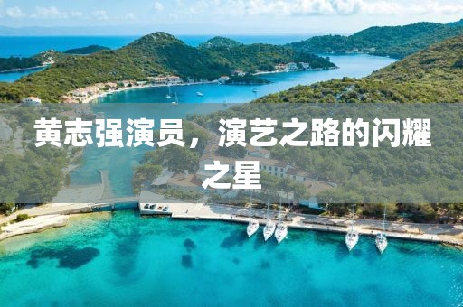 黄志强演员，演艺之路的闪耀之星