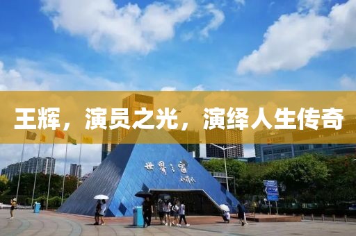 王辉，演员之光，演绎人生传奇