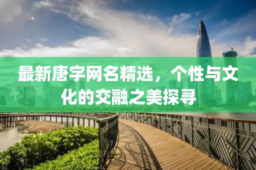 最新唐字网名精选，个性与文化的交融之美探寻