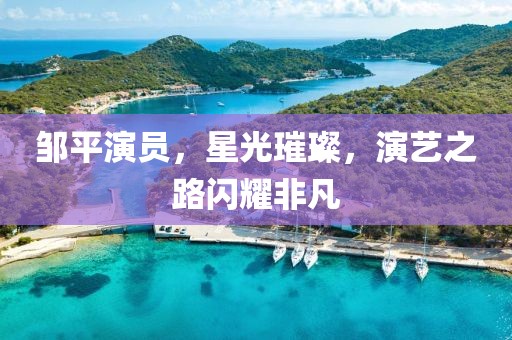 邹平演员，星光璀璨，演艺之路闪耀非凡