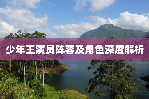 少年王演员阵容及角色深度解析