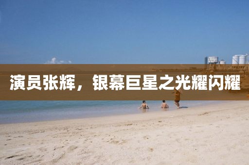 演员张辉，银幕巨星之光耀闪耀