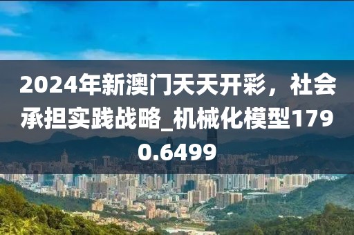 2024年新澳门天天开彩，社会承担实践战略_机械化模型1790.6499