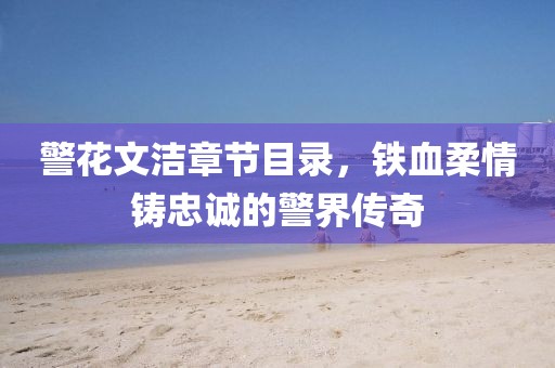 警花文洁章节目录，铁血柔情铸忠诚的警界传奇